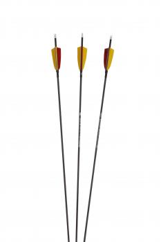Slim Line Black Federn